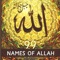 99 Names Of Allah - Mian Usama lyrics