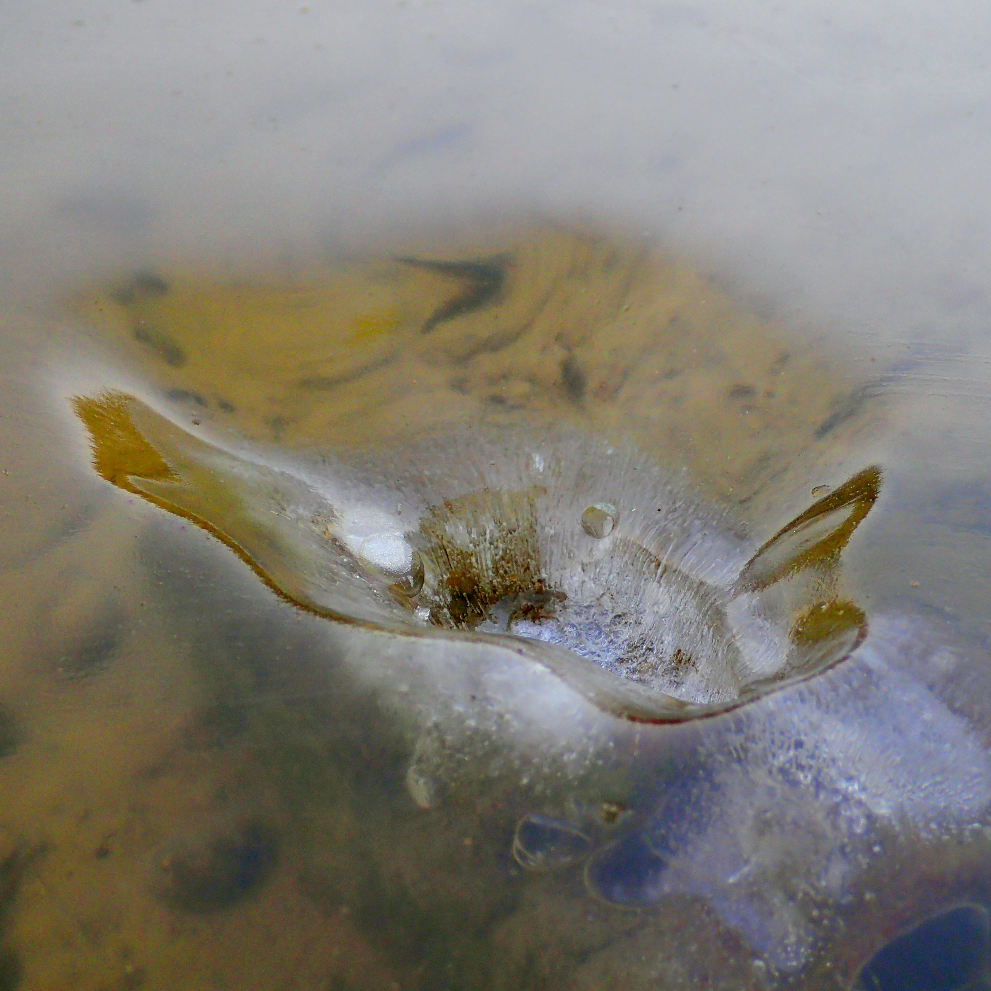 Life After Humans - EP