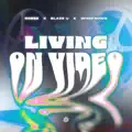 Living on Video