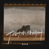 大风吹倒梧桐树 (迟三岁语录版) - Single - Zerun Hou