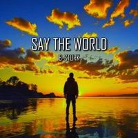 Say the World - Single - B-Stork