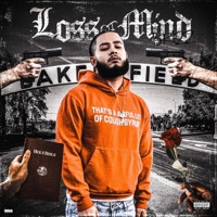Loss of Mind - Brizz