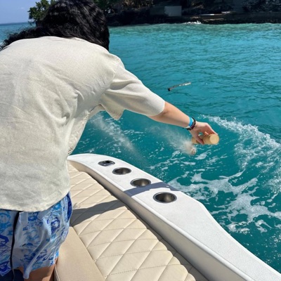 Humming Birds - Single