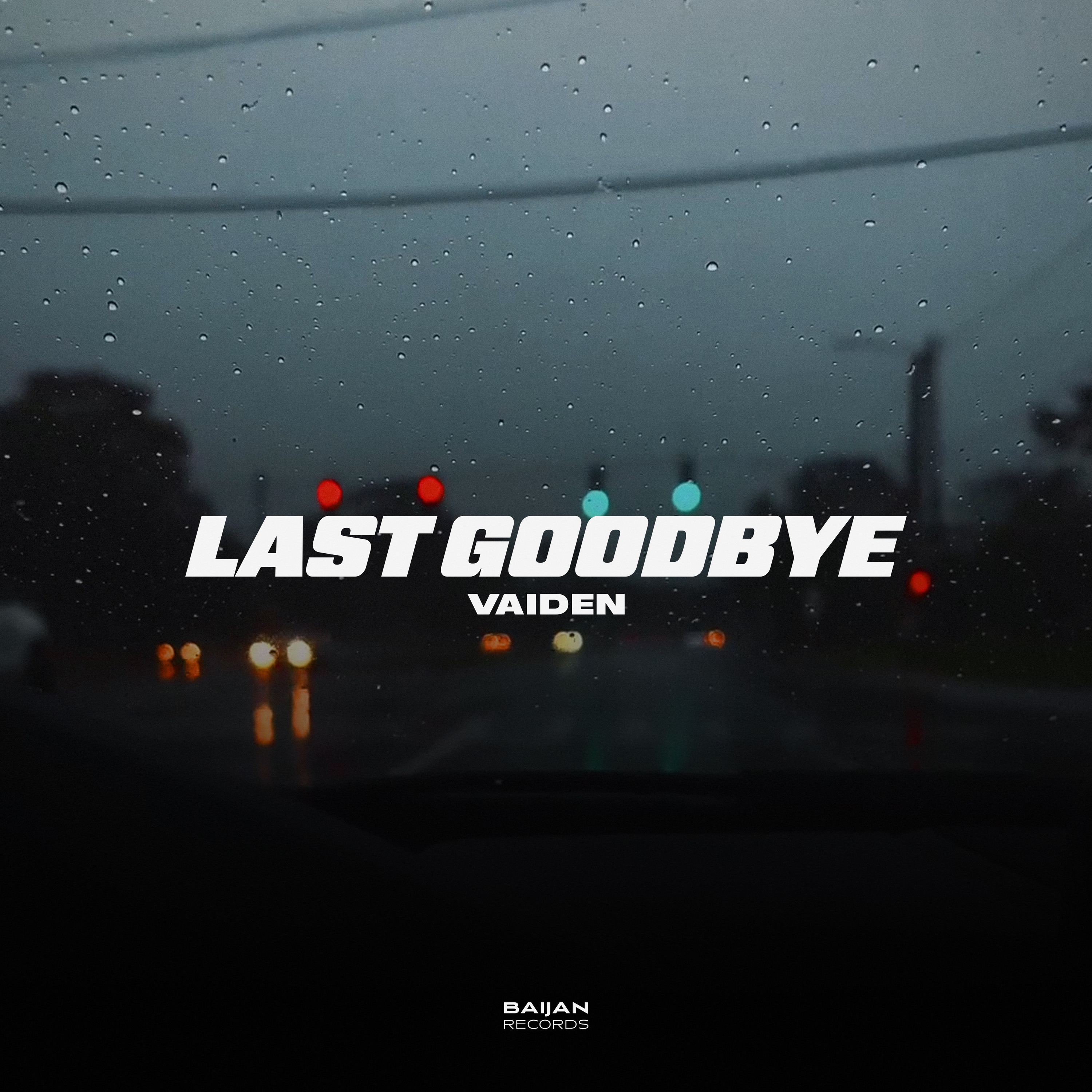 Last Goodbye - Single