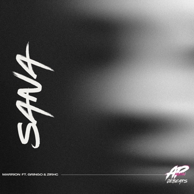 Sana (feat. Gringo650, Zirhc & JEBEATS) - Single