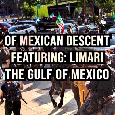 The Gulf of Mexico (feat. LIMARI) - Single