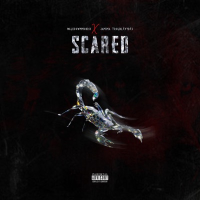 SCARRED (feat. Jamima Troublevybes) - Single