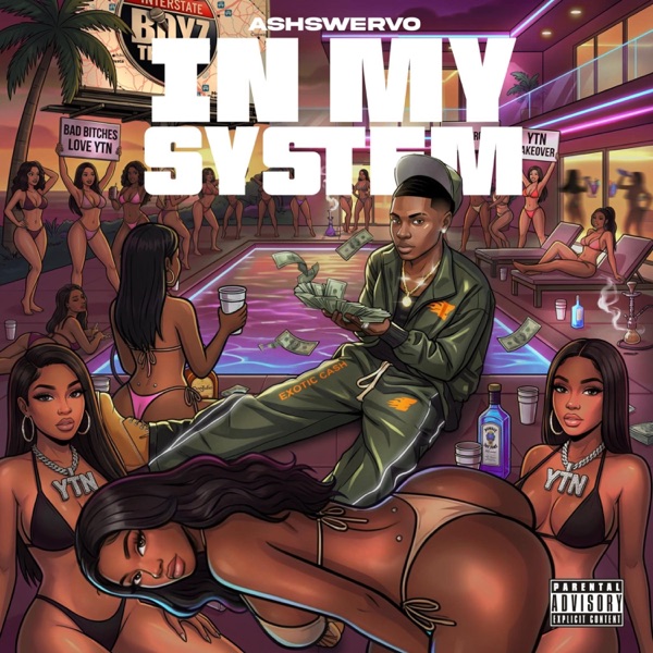IN MY SYSTEM