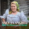 Ancuța Anghel - Măi Ștefane ce-ai făcut
