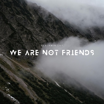 We Are Not Friends (feat. Jámbor Ádám) - Single