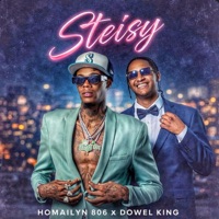 Steisy (feat. Dowel King & Homailyn806) - Single - Yoanmusik