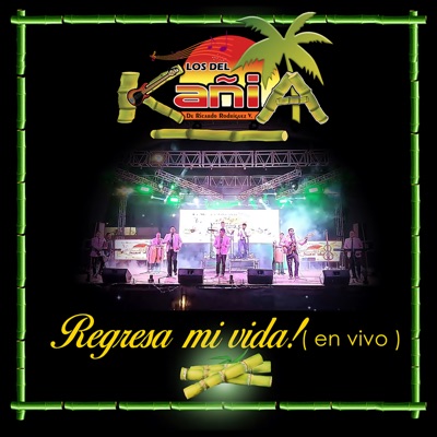 Regresa mi vida (En vivo) - Single