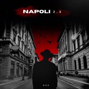NAPOLI 2.3 (feat. DEX)