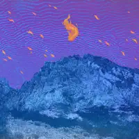 Cascading Crescent — Pelican
