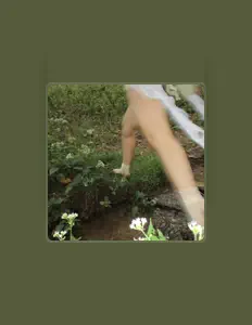 聆聽 Siile、觀看音樂影片、閱讀小傳、查看巡演日期等！