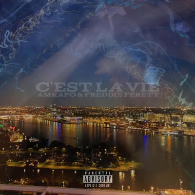 C'est la vie - Single