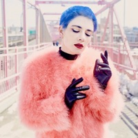 Housie - Single - Entropica