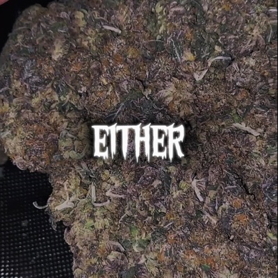 Either IX - Single