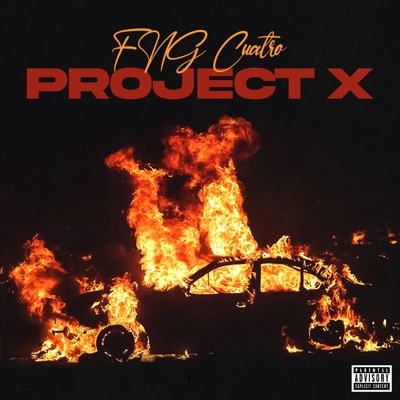 Project X