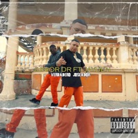 Verdadero Joceador (feat. Jayden El Antidema) - Single - Junior DR