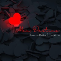 Meu Destino (feat. The Nitrox) - Single - Juvencio Matine