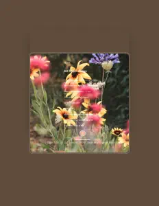 Ascolta dear me archive, guarda video musicali, leggi la biografia, vedi le date del tour & altro!