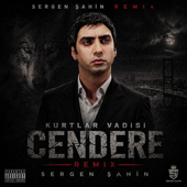 Kurtlar Vadisi Cendere