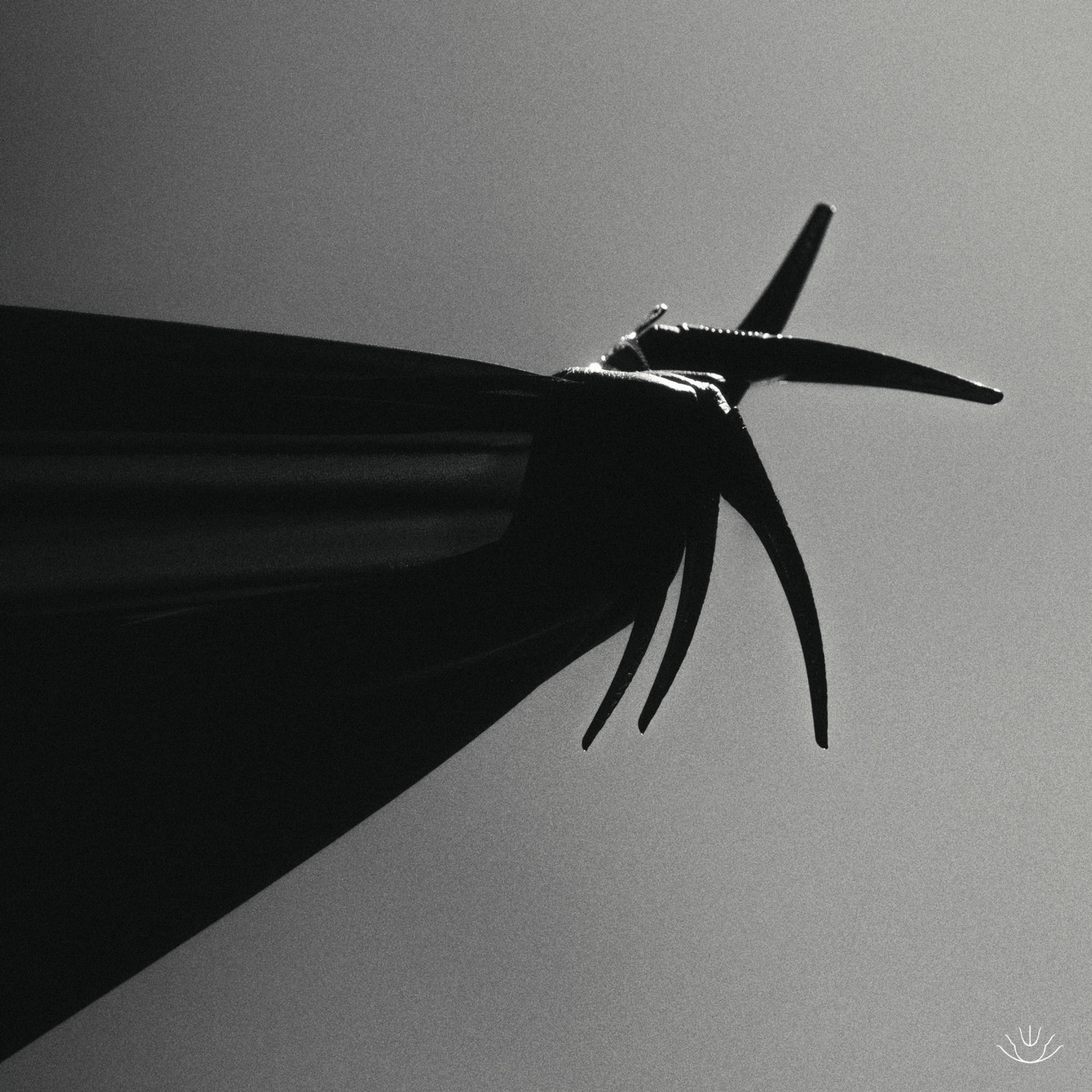 Make Us Whole Again - Single