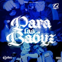 Para Las Babyz - Single - Gedec & Vida Robot