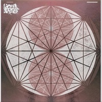 Obtain Perfection - Single - Liquid Nails