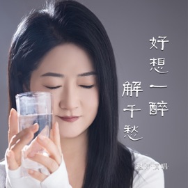 好想一醉解千愁 (伴奏) 赵洋