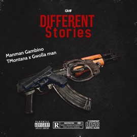 Different Stories (feat. Gwolla Man & T Montana) ManMan Gambino