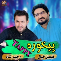 Pekhawara Tappy (feat. Rahim Shah) - Single - Faisal Khayal