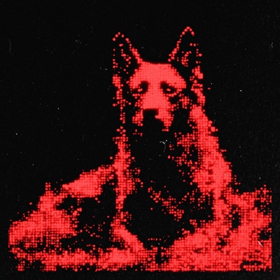 there is death for the dogs