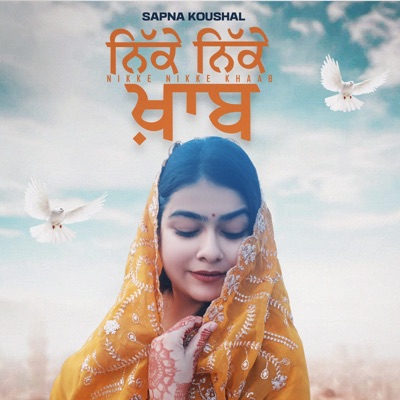 Nikke Nikke Khaab - Single