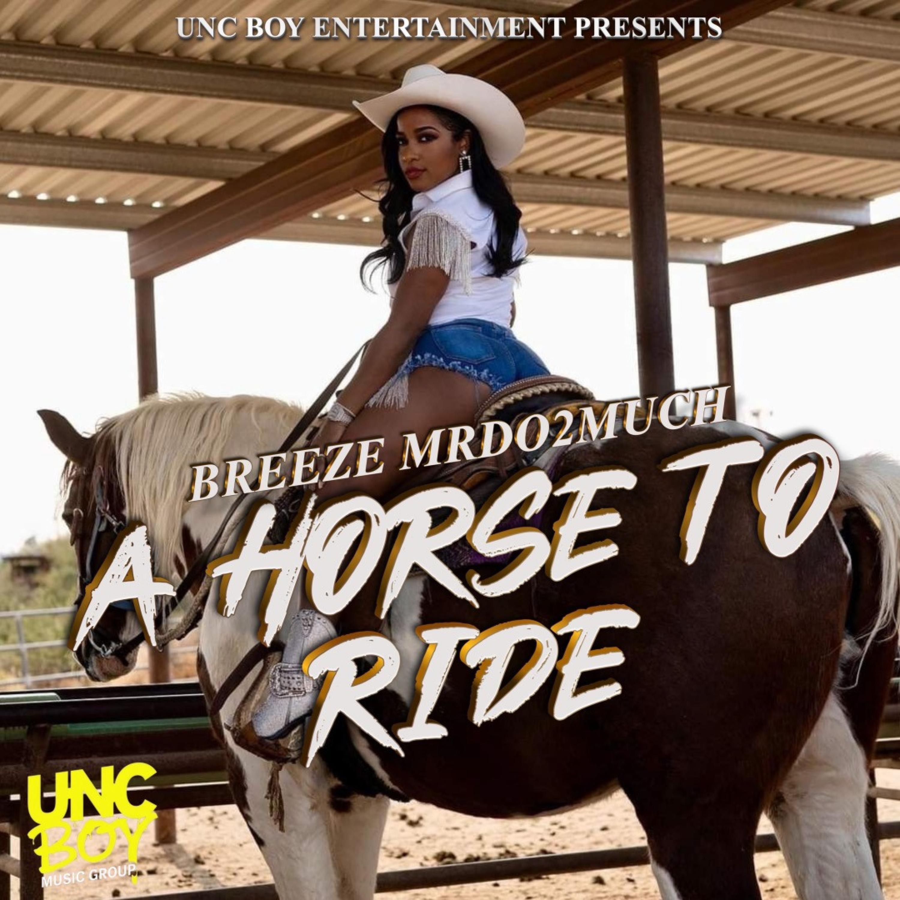 A Horse To Ride - Single