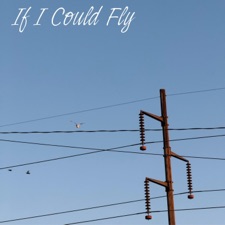 If I Could Fly