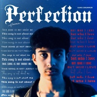 PERFECTION - Single - Samu Drumm3r