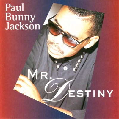 Mr. Destiny