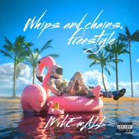 whips and chains freestyle - Single - MrkEmALL