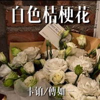 白色桔梗花 - Single - 卡铂 & 傅如一