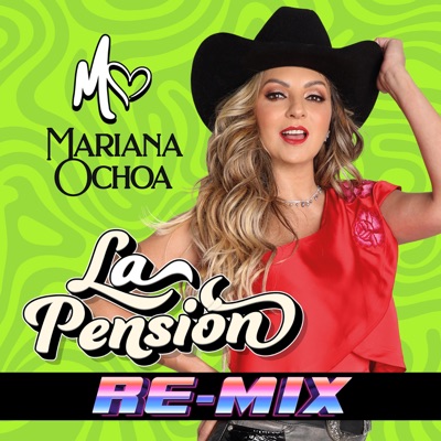 LA PENSIÓN (Re-mix) - Single