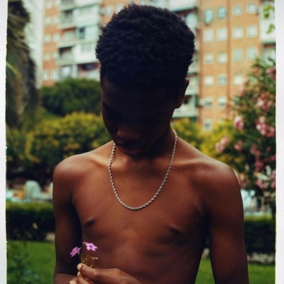 Losses = Lessons - EP