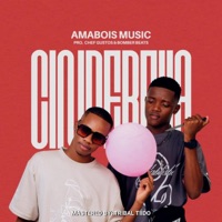 Cinderella (feat. Chef gustos) - Single - Amabois Dz Music