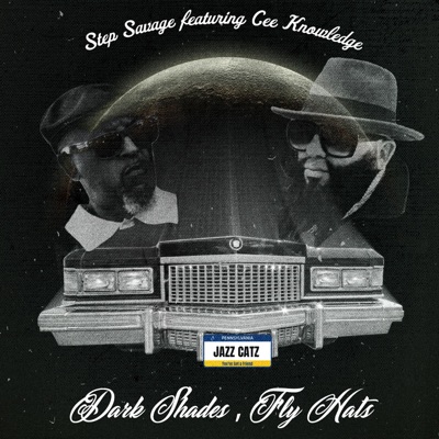 Dark Shades, Fly Hats (feat. Cee Knowledge) - Single