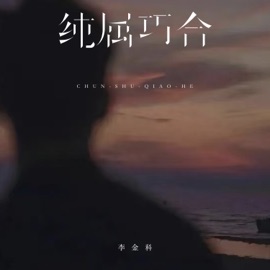 纯属巧合 (伴奏) 李金科