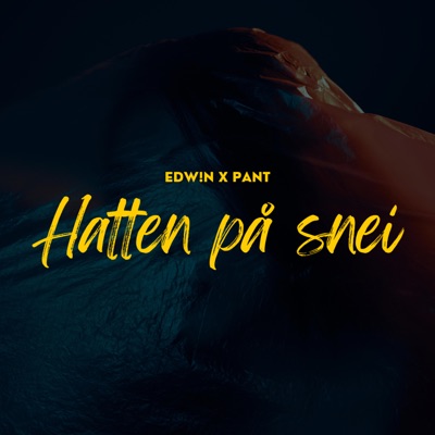 Hatten på snei (feat. Pant) - Single