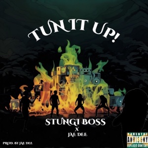 Tun it up (feat. Jae Dee) - Single