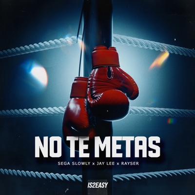 No Te Metas - Single