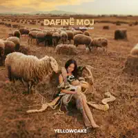 Llafe Llafe (feat. Lyrical Son) — Dafina Zeqiri